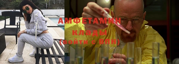 индика Пестово