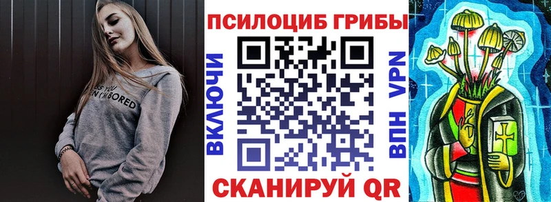 Псилоцибиновые грибы Psilocybine cubensis  Сенгилей 